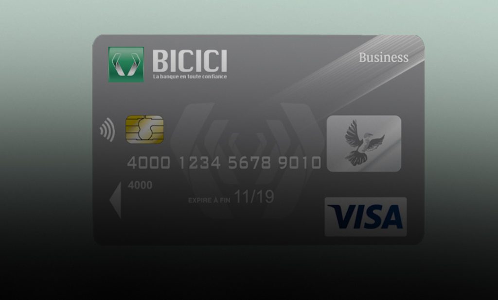 Carte visa affaire bicici